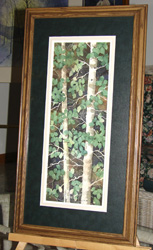 Aspen Pleasure Framed